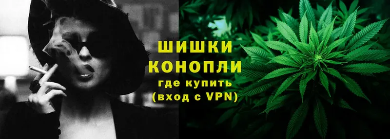 Каннабис OG Kush  OMG как зайти  Болхов 